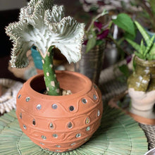Load image into Gallery viewer, Terracotta Mirrored Pots